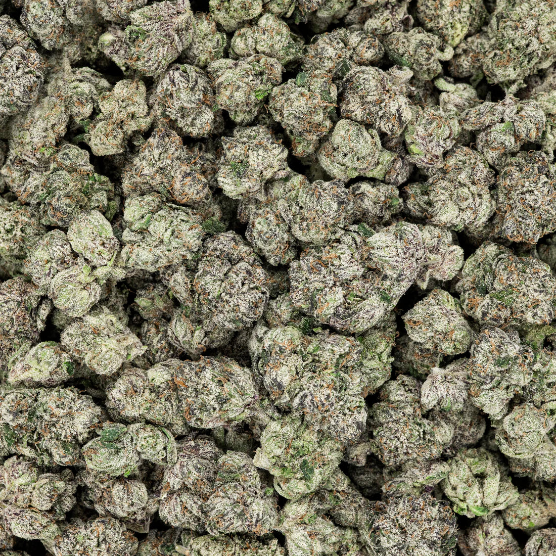 Frosted Runtz Pre-Packed 3.5G