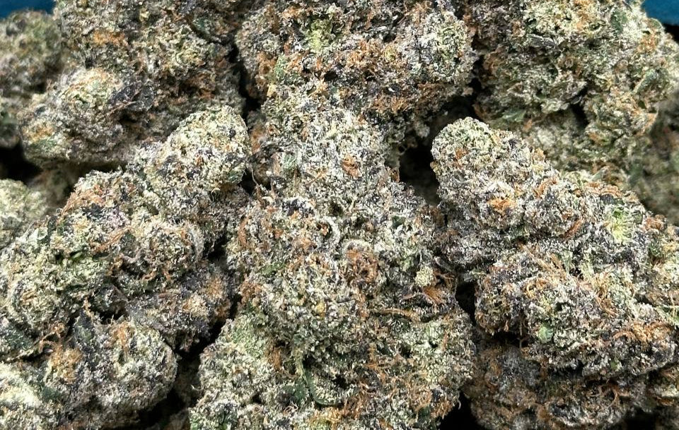 Quattro Kush (Hybrid Indica)