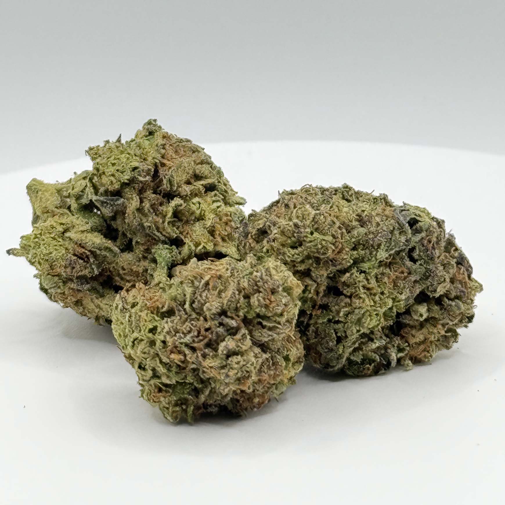 Cereal Milk ( Hybrid )