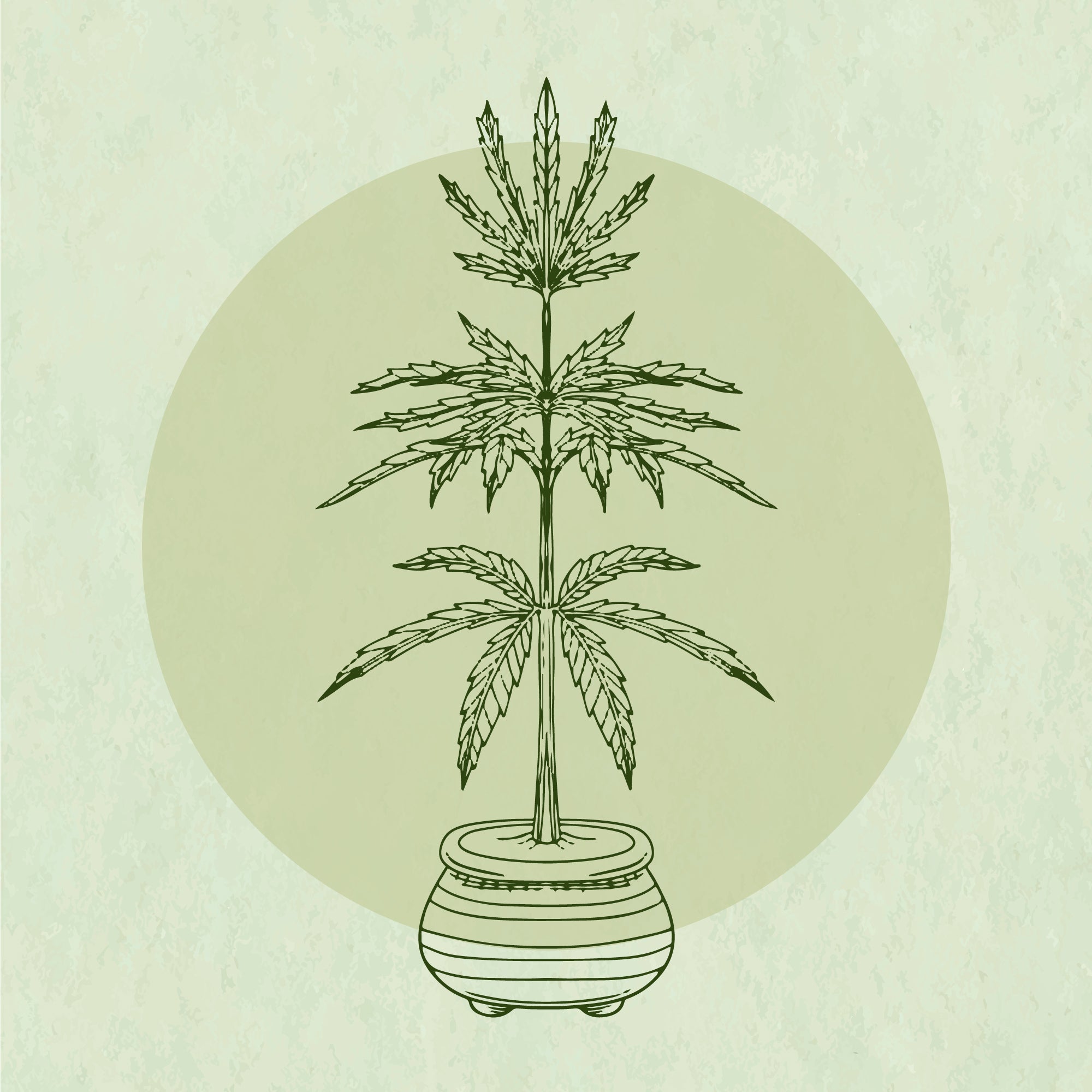 Dealer's Choice Mystery Clone