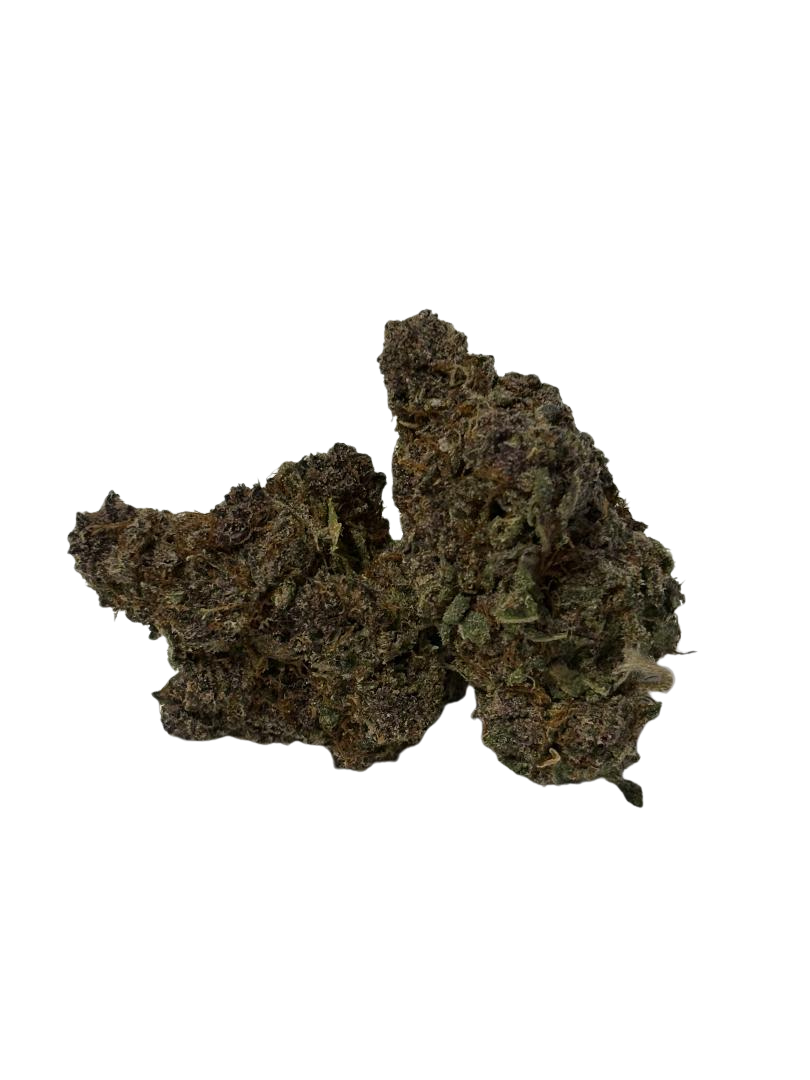 Cereal Milk (Hybrid)