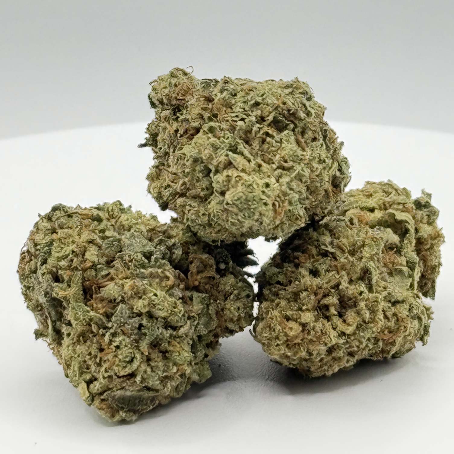 Slurricane ( Indica )