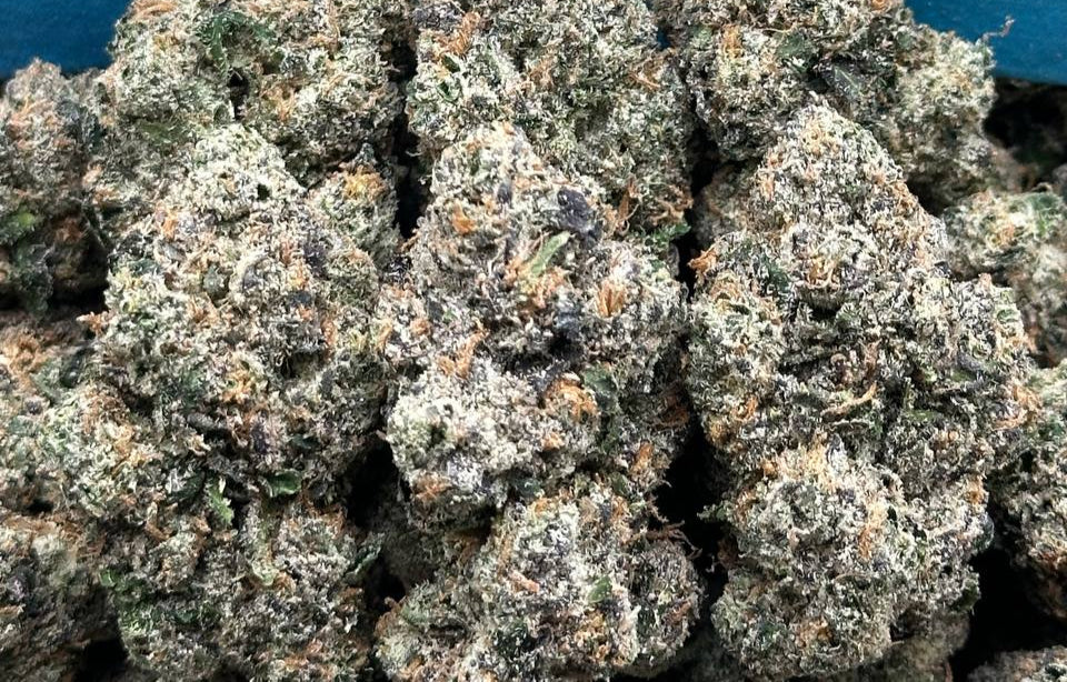 Zuper Candy (Hybrid)